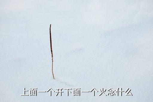 上面一个开下面一个火念什么