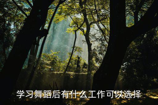 舞蹈出来能干什么工作，舞蹈学舞蹈毕业了以后可以干什么