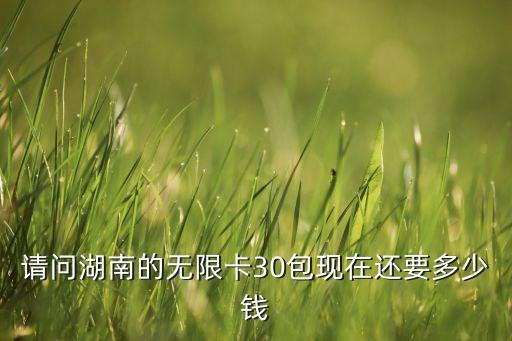 游小福30无限充值版，请问湖南的无限卡30包现在还要多少钱