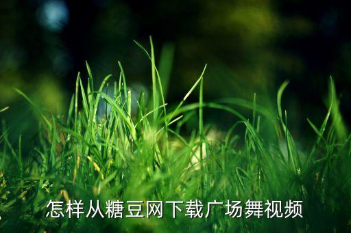 怎样从糖豆网下载广场舞视频