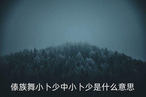 傣族舞小卜少中小卜少是什么意思