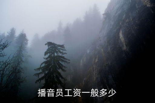 播音员工资一般多少