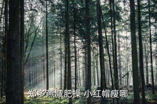 郑多燕小灰帽有什么用，郑多燕减肥操 小红帽瘦哪