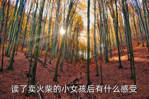 火火的姑娘怎么样，八字金木水火土都具备的女生好吗