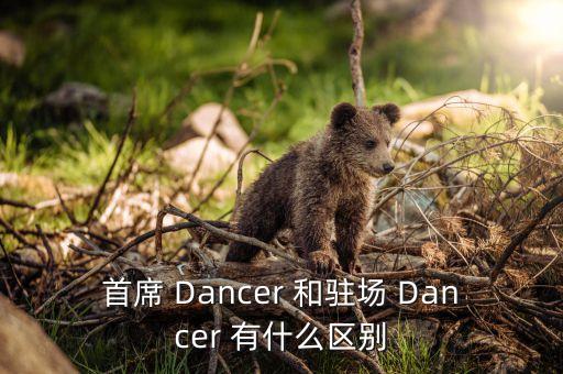 舞蹈首席是什么，首席 Dancer 和驻场 Dancer 有什么区别