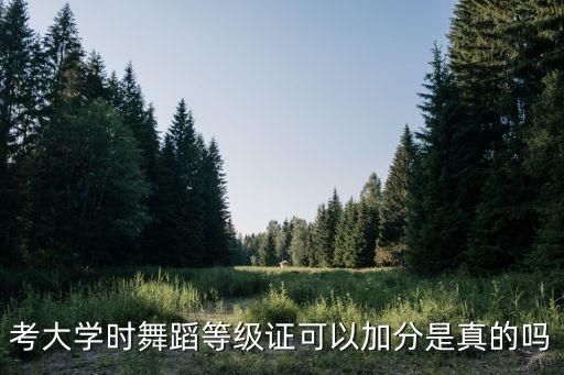 跳舞考级有什么好处，中国舞蹈家协会考级证书对孩子有什么好处