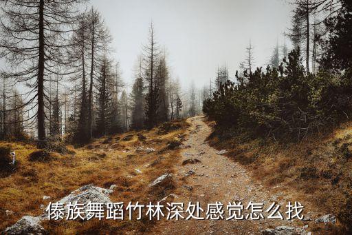 傣族舞蹈竹林深处感觉怎么找