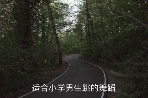 适合小学男生跳的舞蹈
