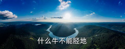 什么牛不能胫地