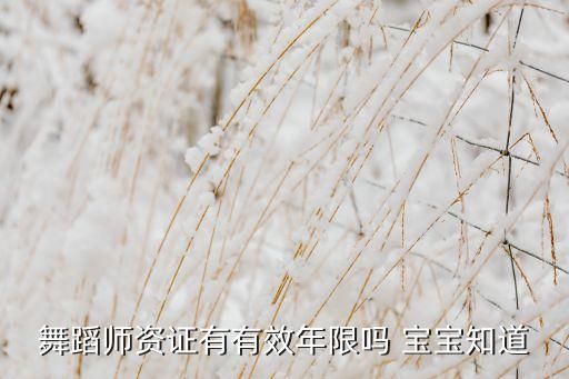 舞蹈师资证有有效年限吗 宝宝知道