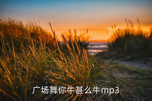 广场舞你牛甚么牛mp3