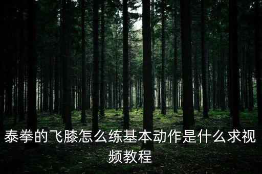 泰拳的飞膝怎么练基本动作是什么求视频教程