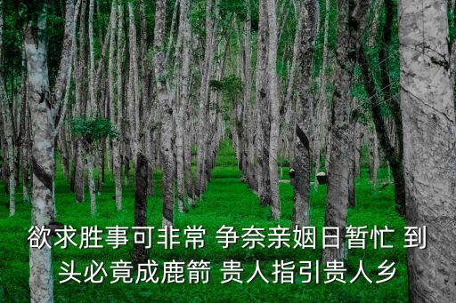 欲求胜事可非常 争奈亲姻日暂忙 到头必竟成鹿箭 贵人指引贵人乡
