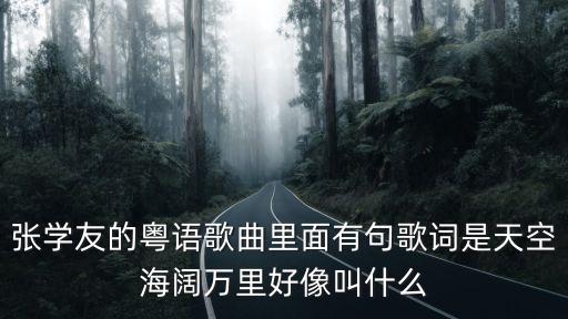 张学友的粤语歌曲里面有句歌词是天空海阔万里好像叫什么