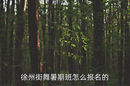 怎么上暑期班舞蹈课，徐州街舞暑期班怎么报名的