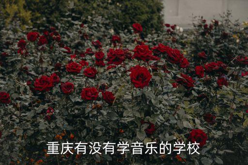 重庆有没有学音乐的学校