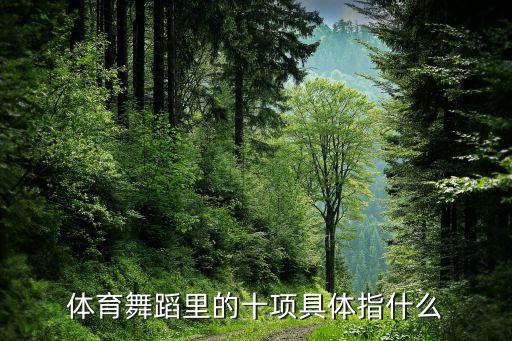体育舞蹈里的十项具体指什么