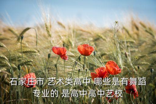 石家庄舞蹈专业学校，石家庄市 艺术类高中 哪些是有舞蹈专业的 是高中高中艺校