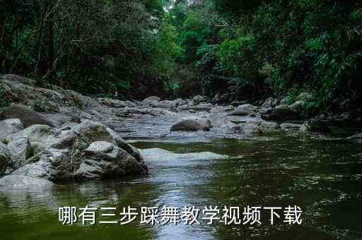三步踩兵兵舞曲在哪里下载，哪有三步踩舞教学视频下载