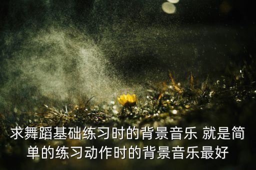 求舞蹈基础练习时的背景音乐 就是简单的练习动作时的背景音乐最好