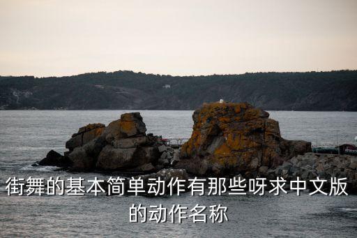 街舞的基本简单动作有那些呀求中文版的动作名称