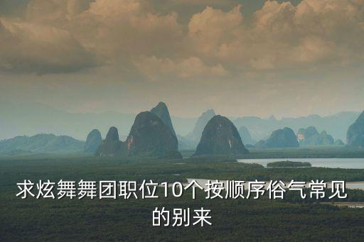 关于茶的舞蹈怎么排，求炫舞舞团职位10个按顺序俗气常见的别来