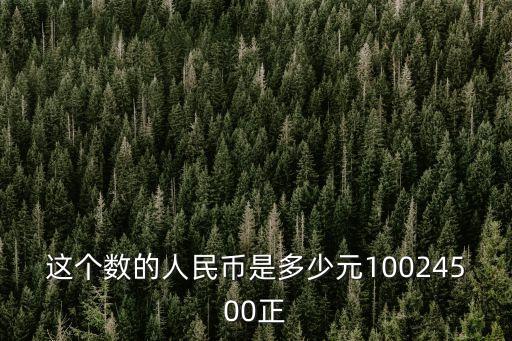 这个数的人民币是多少元10024500正