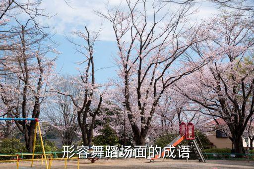形容舞蹈场面的成语