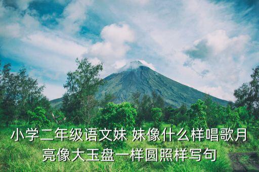 小学二年级语文妹 妹像什么样唱歌月亮像大玉盘一样圆照样写句