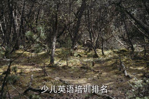 儿童培训项目热门排行，中国早教机构排名有哪些
