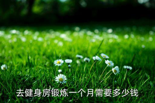 健身房跳舞大概多少钱一个月多少钱一个月，一般健身房包月要多少钱