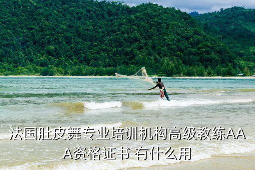 法国肚皮舞专业培训机构高级教练AAA资格证书 有什么用
