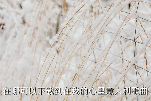 在我的心里面什么歌曲下载，dlyz在我的心里从此永远有个你歌曲下载