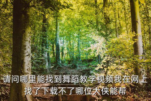 请问哪里能找到舞蹈教学视频我在网上找了下载不了哪位大侠能帮