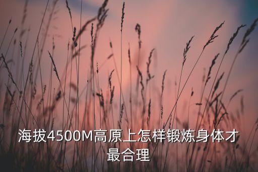 海拔4500M高原上怎样锻炼身体才最合理