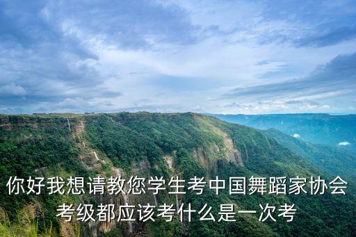 你好我想请教您学生考中国舞蹈家协会考级都应该考什么是一次考