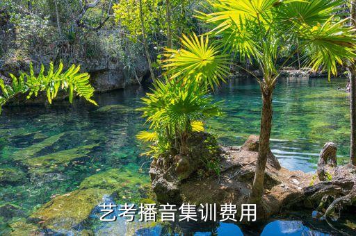 播音主持艺考集训价格，急学播音主持要多少钱