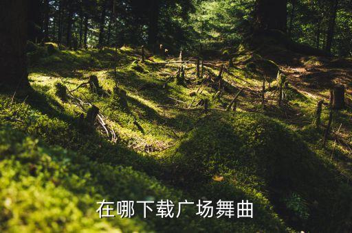 在哪下载广场舞曲