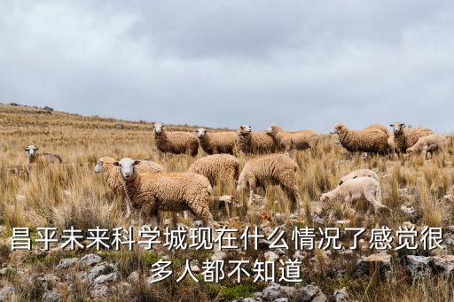 洛神广场现在什么样，美国911事件之后现在美国纽约世界贸易中心是什么样子