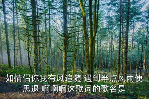 如情侣你我有风追随 遇到半点风雨便思退 啊啊啊这歌词的歌名是