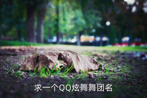 求一个QQ炫舞舞团名