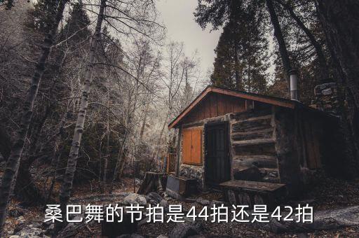 桑巴舞的节拍是44拍还是42拍