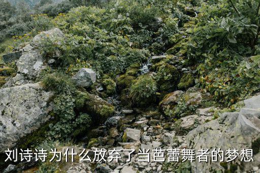 刘诗诗为什么放弃芭蕾，为什么刘诗诗身体条件不适合当芭蕾舞演员