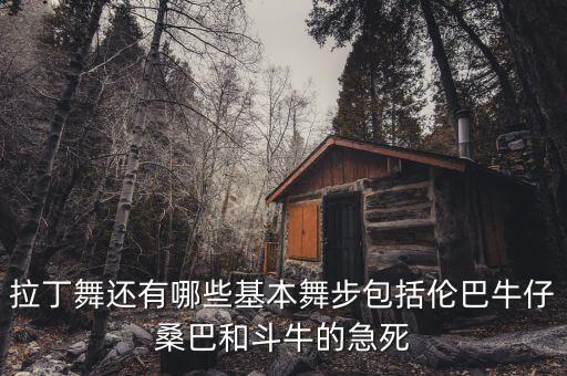 拉丁舞还有哪些基本舞步包括伦巴牛仔桑巴和斗牛的急死