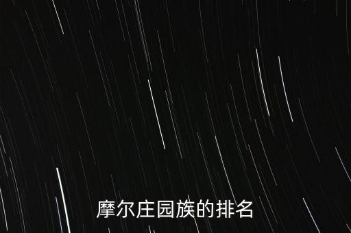 摩尔庄园族的排名