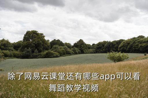 除了网易云课堂还有哪些app可以看舞蹈教学视频