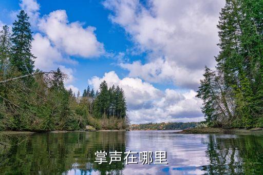 掌声在哪里