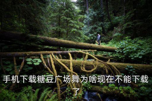 手机下载糖豆广场舞为啥现在不能下载了
