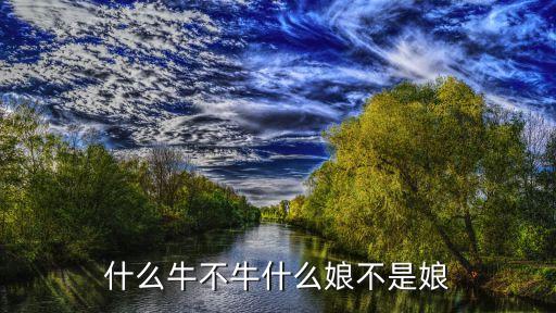 什么牛不是牛歌曲下载，什么牛不牛什么娘不是娘