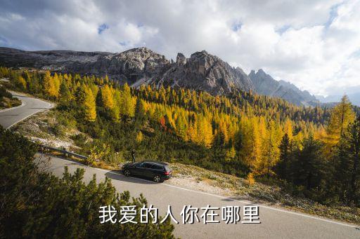 我爱的人你在哪里